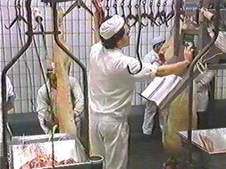 carne (13) ALIMENTACION COMIDA